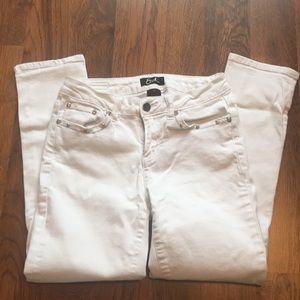 Earl Jean Size 6 Cropped
